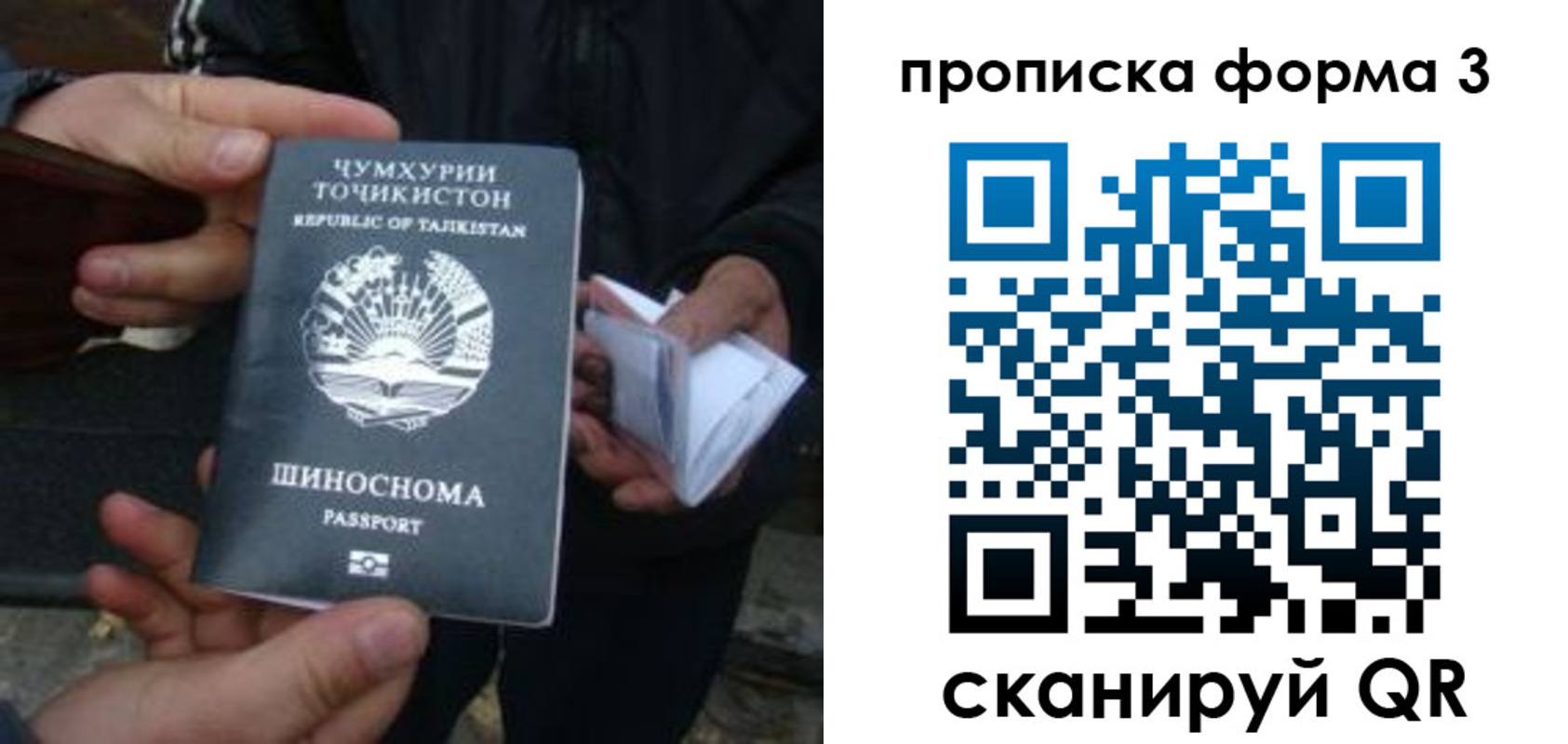 прописка 2025 в Люберцах